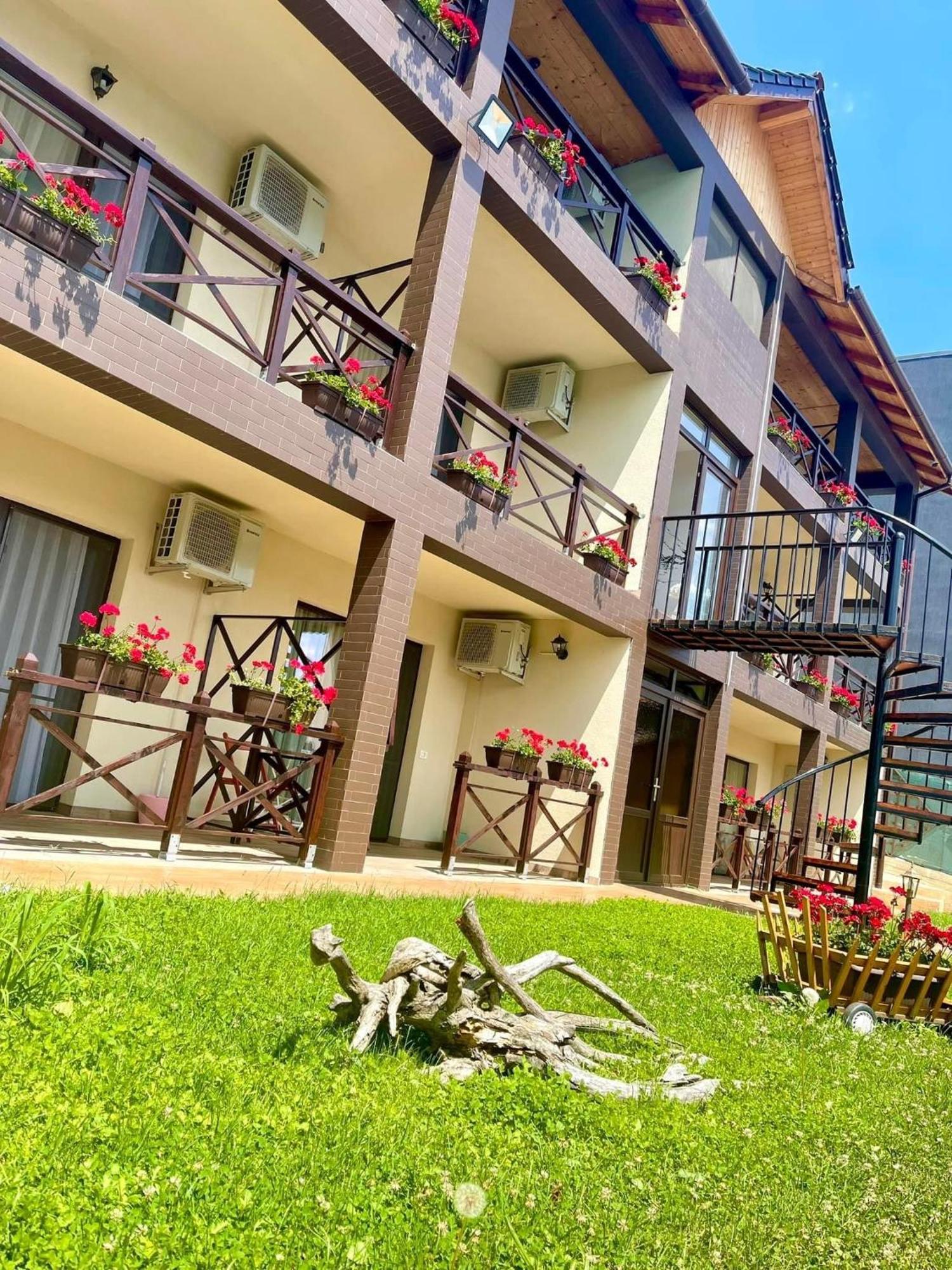 Mustaciosul Dunarii Hotel Ieşelniţa Buitenkant foto